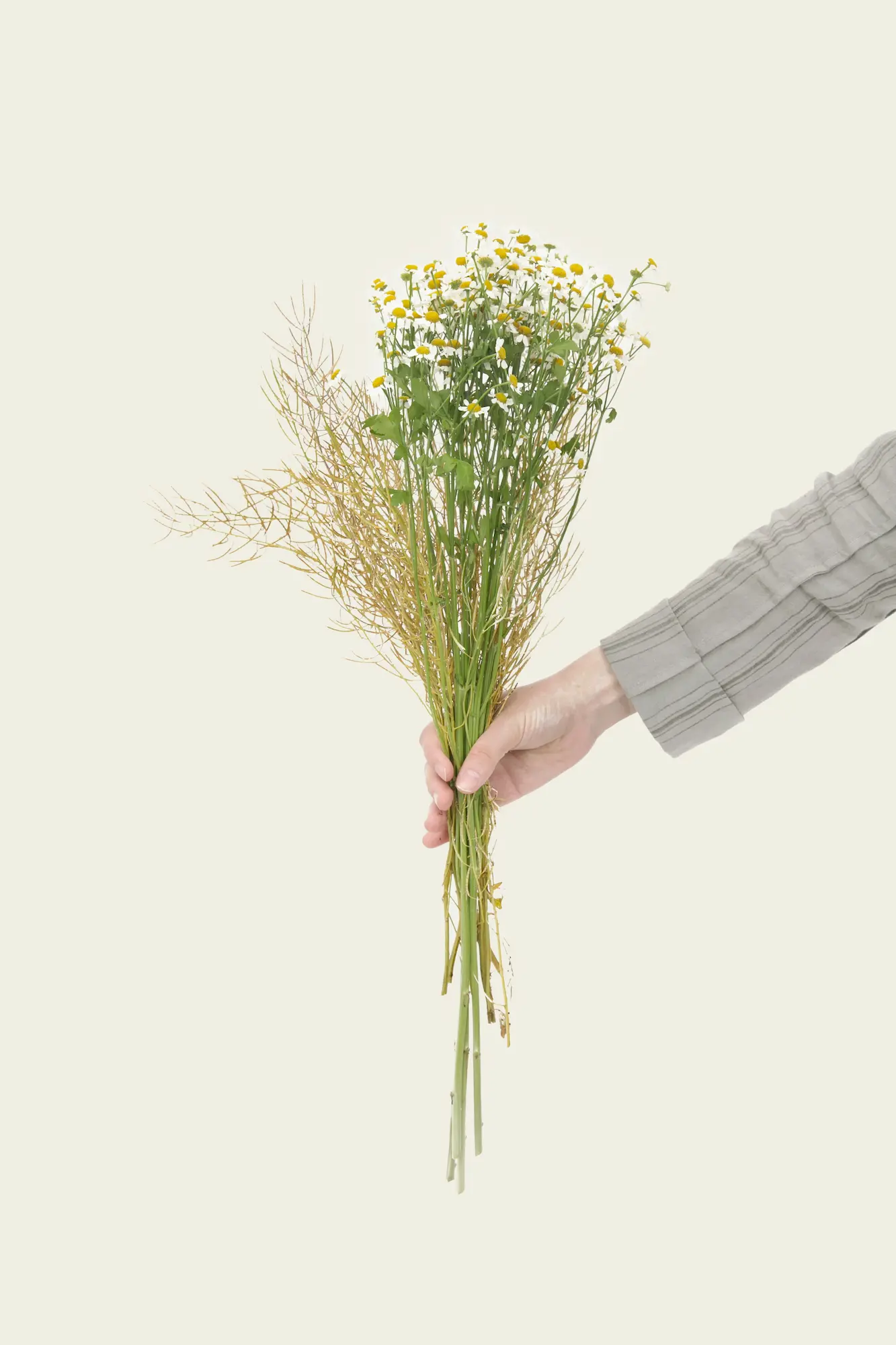 Bouquet de fleurs