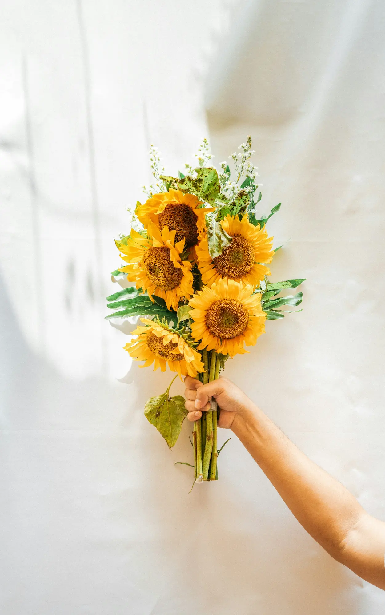 Bouquet de tournesols